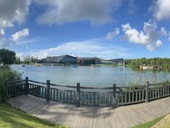 -上海长兴岛郊野公园