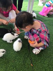 -萌宠亲子动物乐园(槐房万达店)