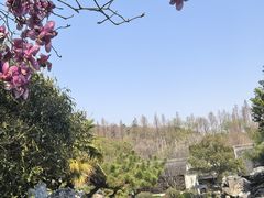 -杭州西子湖四季酒店-WL BISTRO西湖餐厅(灵隐路店)