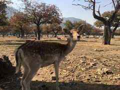 -西安秦岭野生动物园