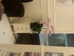 android_upload_pic-艾维庭美学SPA