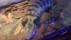 -酷嗒动物文化乐园(cutezoo西溪乐天城店)