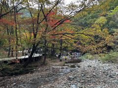 -关门山森林公园