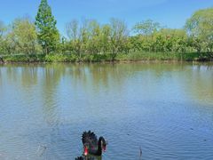 -长兴太湖图影湿地文化园