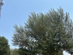 -银沙湾旅游区-好汉坡停车场