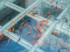 -蜜舍咖啡(洋人街店)