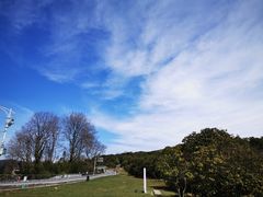 -贵州百里杜鹃风景名胜区