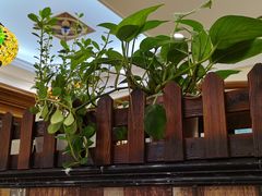 大堂-清真·玛丽亚新疆菜主题餐厅(浙江中路店)