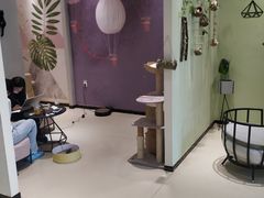 -藏猫猫咖啡主题馆(中央大道店)