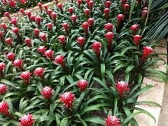 -南山植物园