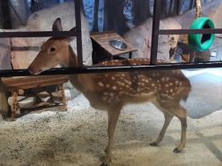 -酷嗒动物文化乐园(cutezoo西溪乐天城店)