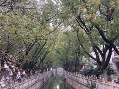 -安亭老街