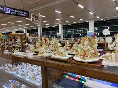 -英迪拉·甘地国际机场