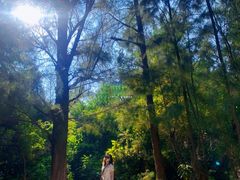 -那琴半岛地质海洋公园