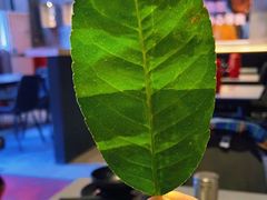 -BIRR COFFEE小熊咖啡(鸿瑞店)