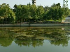 -商丘市人民公园