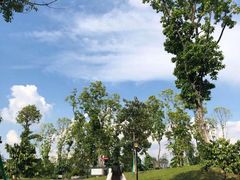 -东莞植物园