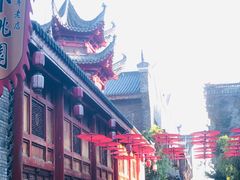 -武汉园博园(武汉自然博物馆)