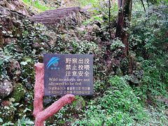 -黄山翡翠谷景区