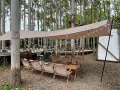 -桉树林A coffee 森林餐厅(三圣乡店)