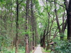 -同里国家湿地公园