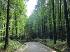 -山王坪喀斯特国家生态公园