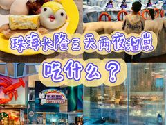 -帝企鹅自助餐厅•儿童岛•真企鹅(长隆企鹅酒店)