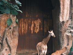 -长鹿旅游休博园