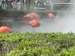 -石家庄市动物园