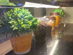 -麦当劳(西客站店)