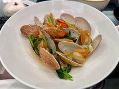 姜蒜炒红蛤-吴记富苑(朝阳店)