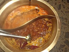 鸳鸯锅-小龙坎老火锅(鹤伴一路店)