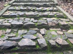 -上海佘山国家森林公园天马山园