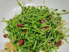 -青花椒花椒鱼(合生汇店)