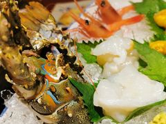 -初花·日本料理