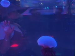 -北海·海洋之窗