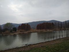 -长广溪湿地公园