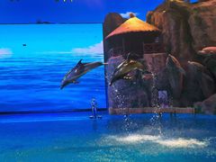 -芜湖新华联大白鲸海洋公园