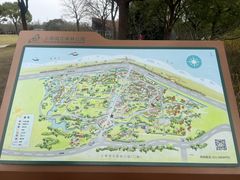 -上海滨江森林公园