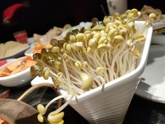 自生黄豆芽-周师兄大刀腰片火锅(洪崖洞旗舰店)