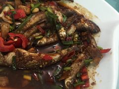 -金孔雀温泉旅游度假村