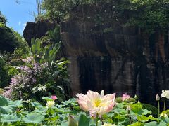 -广州莲花山旅游区