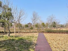 -柳鹭田园区