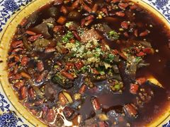 -普天和酒楼·新津菜·烤鸭(天津之眼店)
