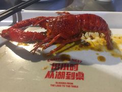 -龙巢盱眙龙虾·牛蛙·烧烤宵夜(八卦岭店)