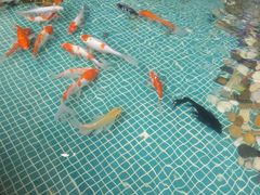 -水晶之星洗浴温泉汗蒸