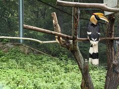 -哈尔滨北方森林动物园