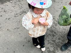 -前小桔亲子创意农场·草莓采摘·露营烧烤