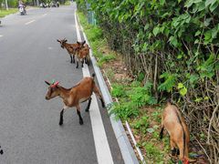 -三亚西岛海洋文化旅游区