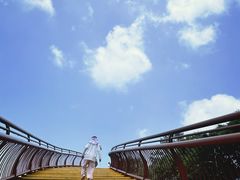 -少华山国家森林公园